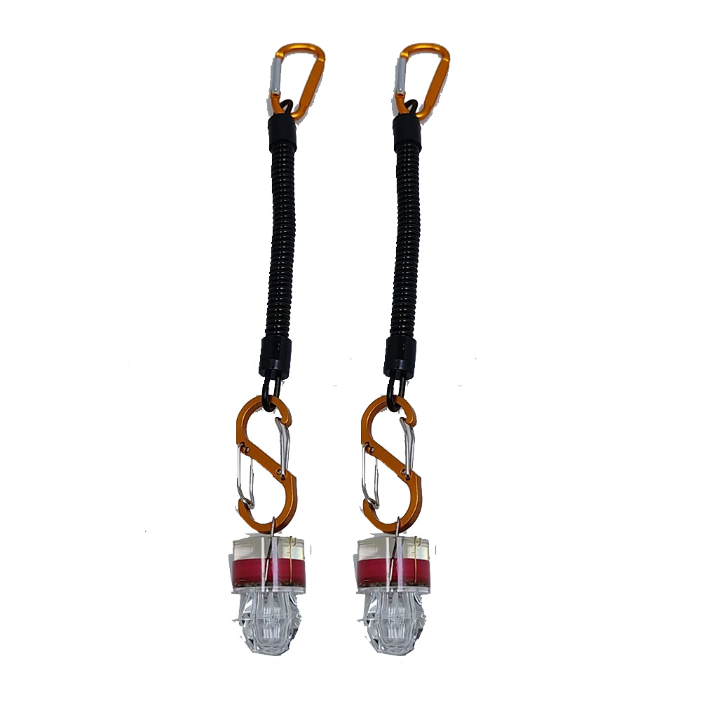 2-3PCS Lampu Pancing LED Denga - Fish Alarm ulasan dan harga